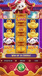 rt66 · Fortune Rabbit